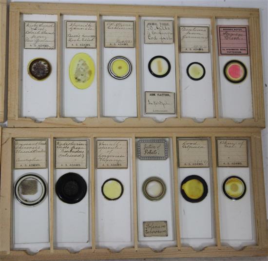 Two cases of late 19th/early 20th century microscope slides,